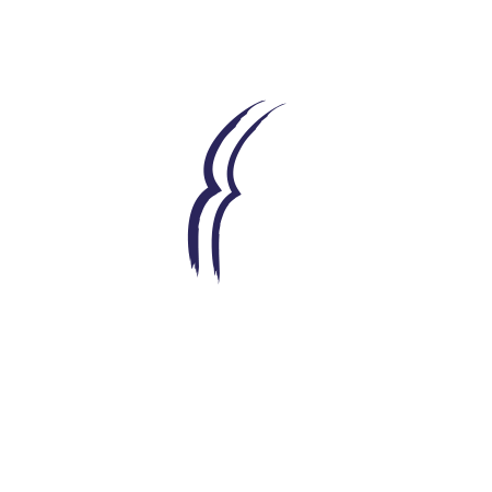 Diar El Borj : Brand Short Description Type Here.